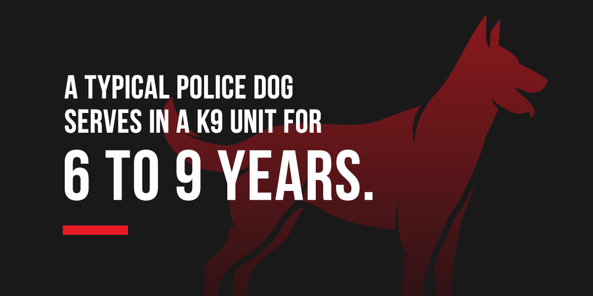 K9 Units in the United States