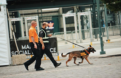 Drug Dog Services by 3DK9 Detection Services