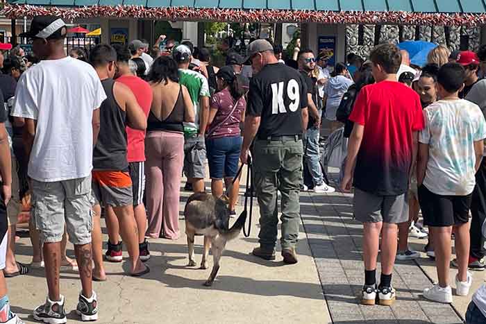 canine event security