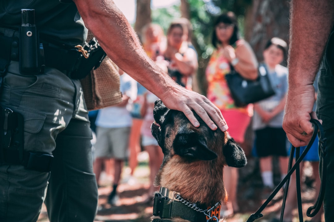 a police officer petting a dog