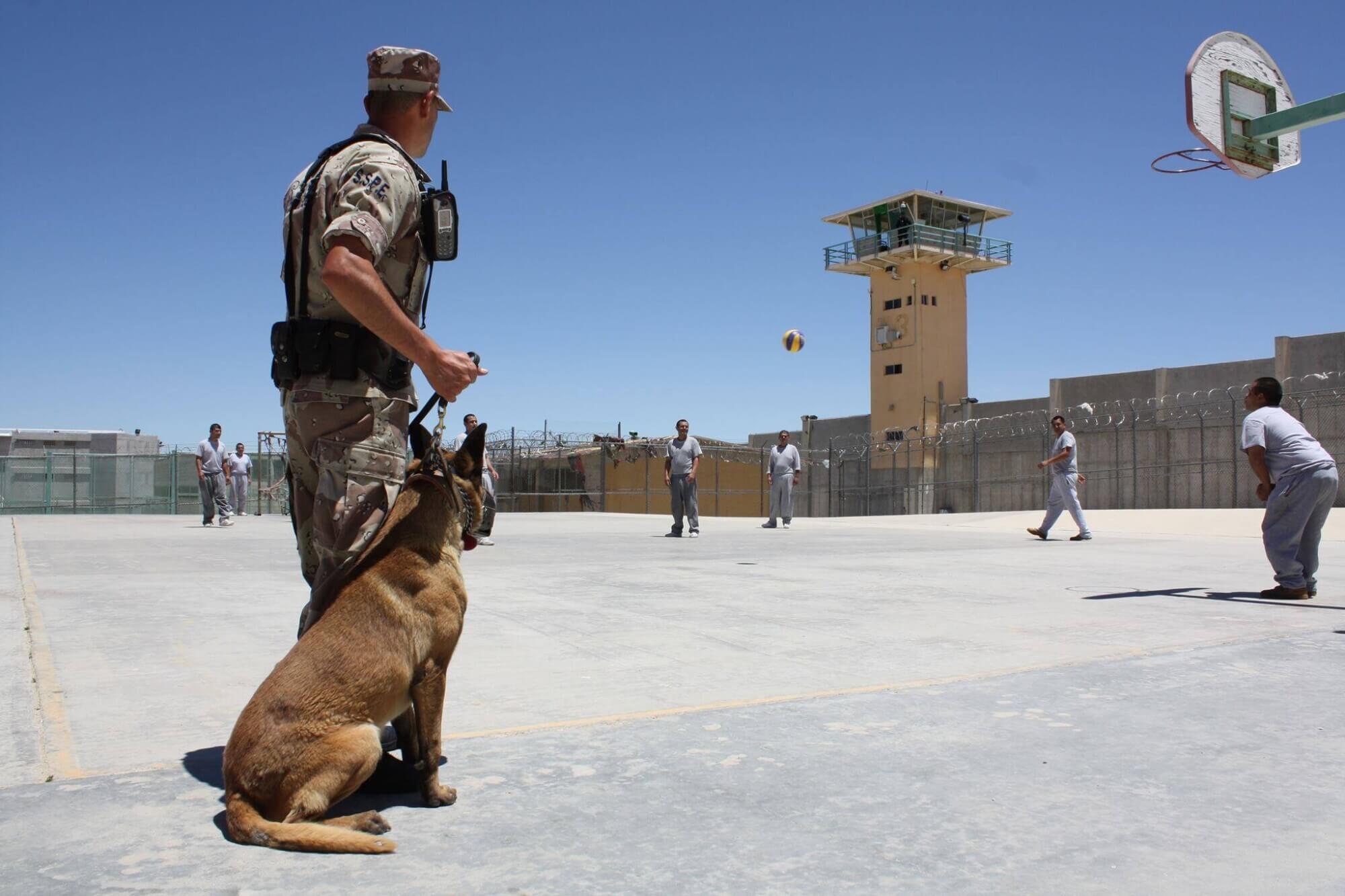 a soldier with a dog standing in front of a basketball court in a prison