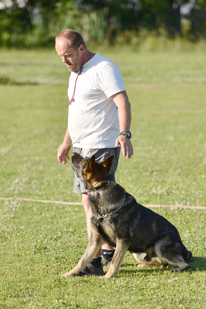 a man in a white shirt standing next to a german shepherd