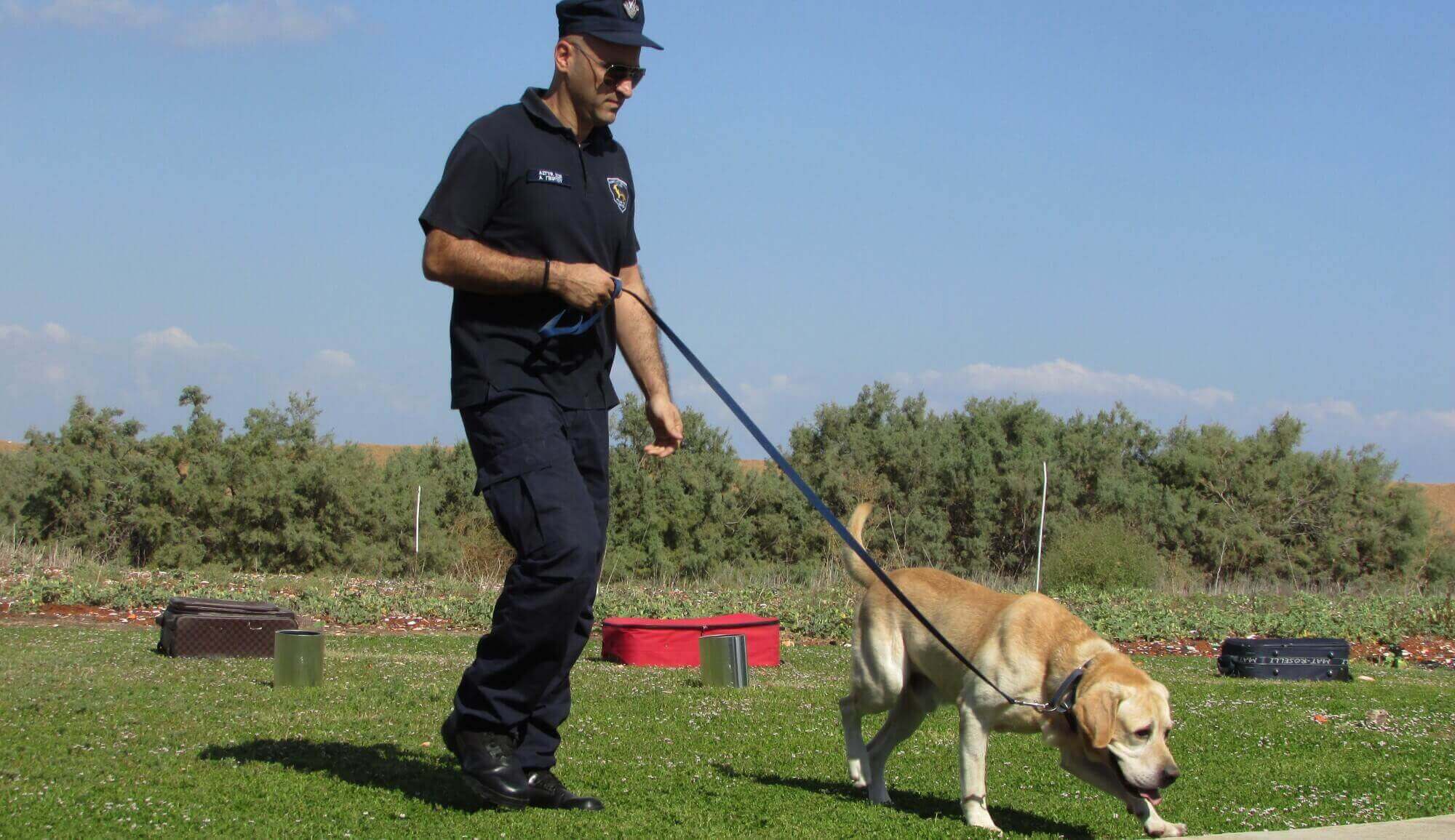 a police officer walking a dog