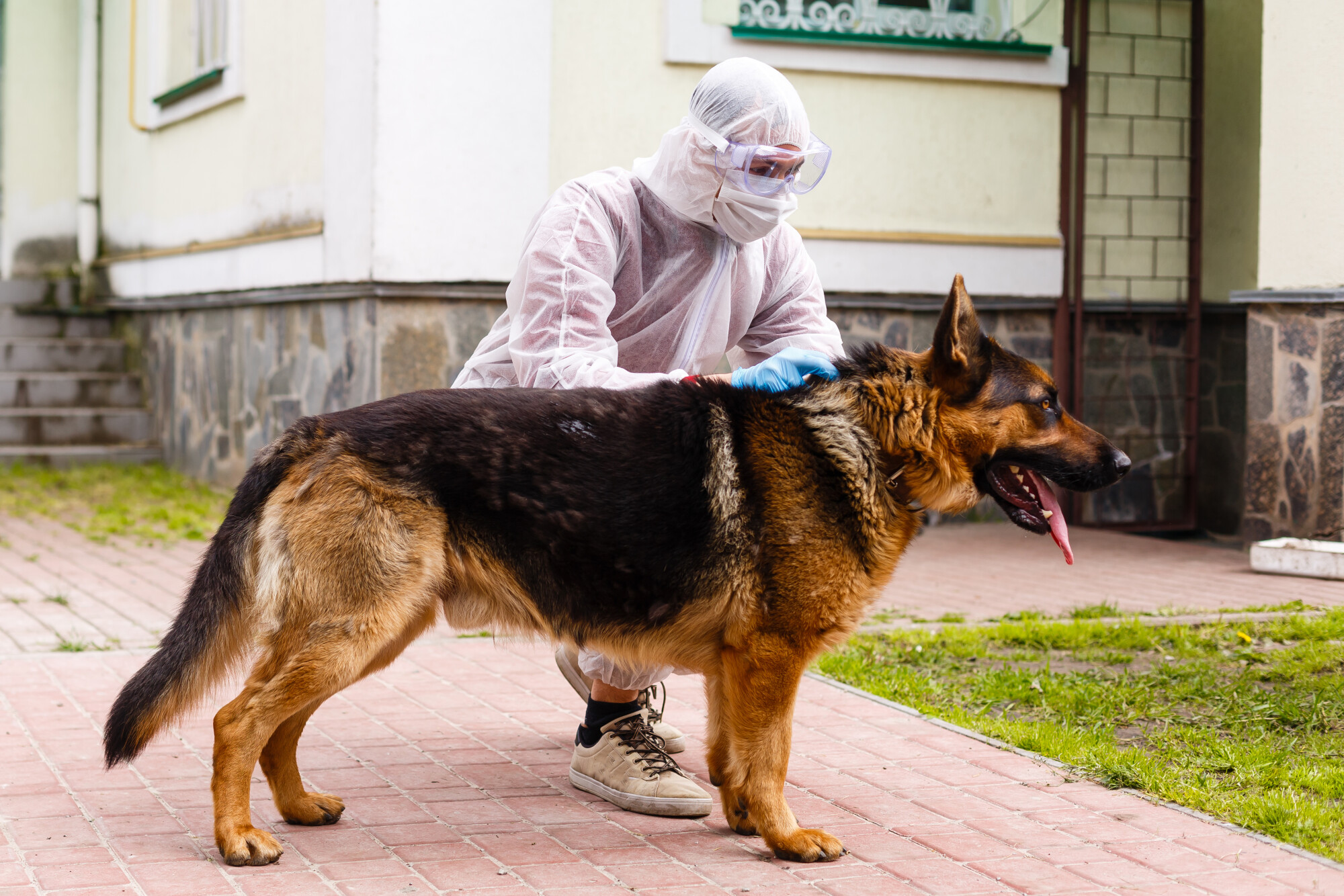 a man in a protective suit standing next to a german shepherd