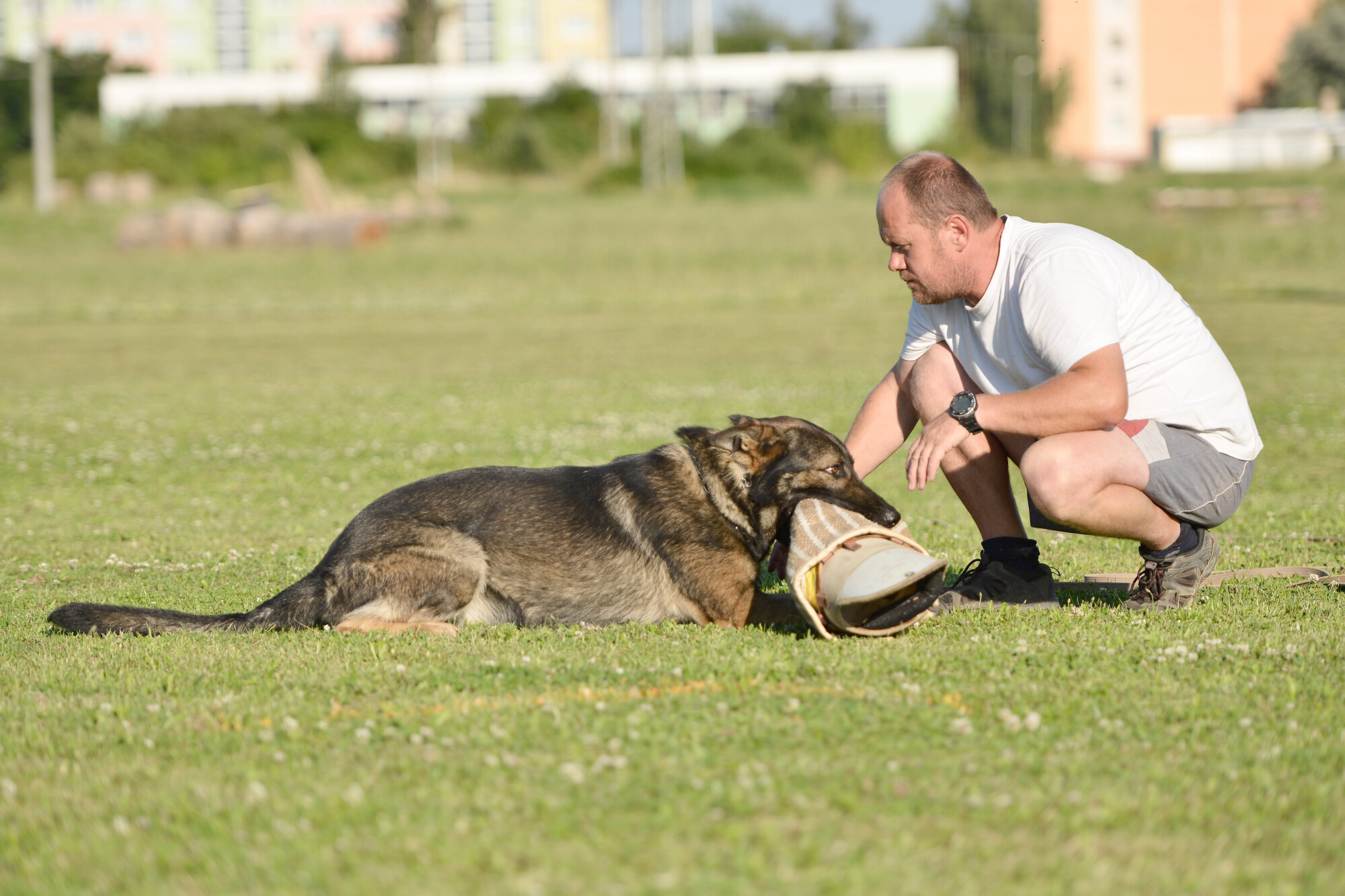 a man kneeling down next to a dog with something in its mouth