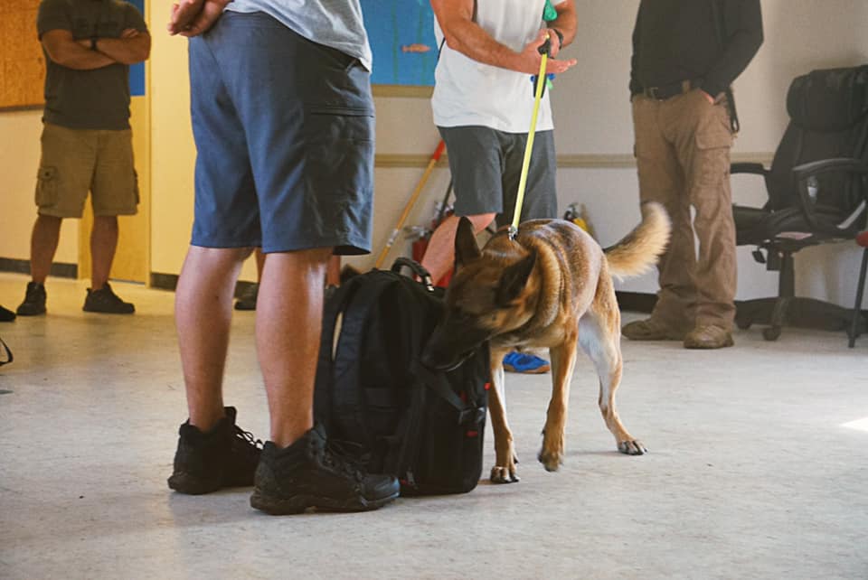 a man standing next to a dog that is sniffing a backpack